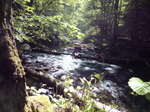 FZ017021 River by Burg Eltz.jpg